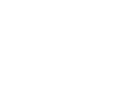 Logo Intelident